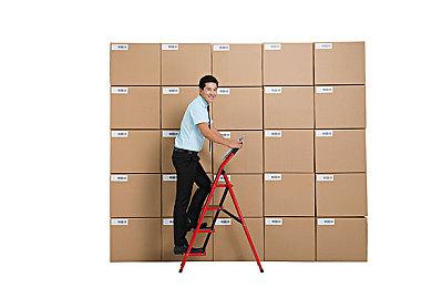 《宝可梦：大集结》公布三只新宝可梦角色 将陆续上线游戏